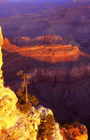 Yavapai point, Grand Canyon, Arizona
